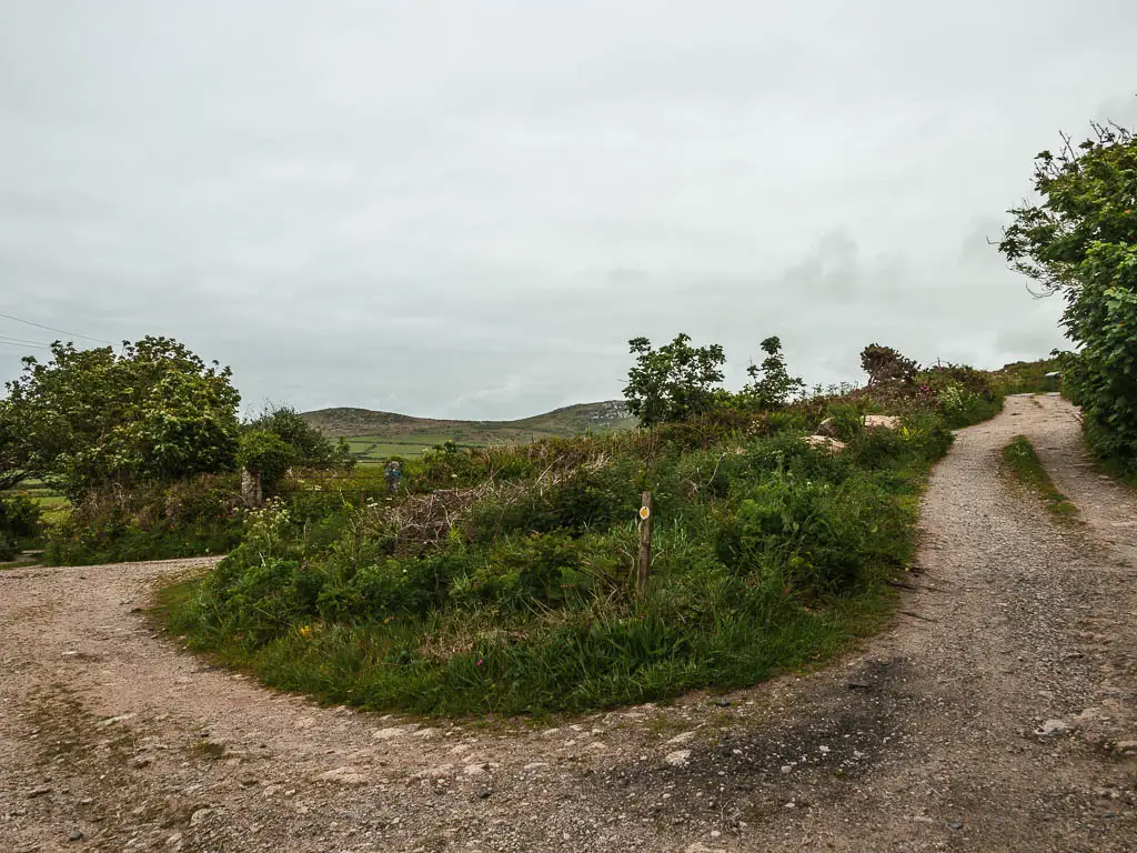 A gravel dirt road junction, with an unkept grass island in between.