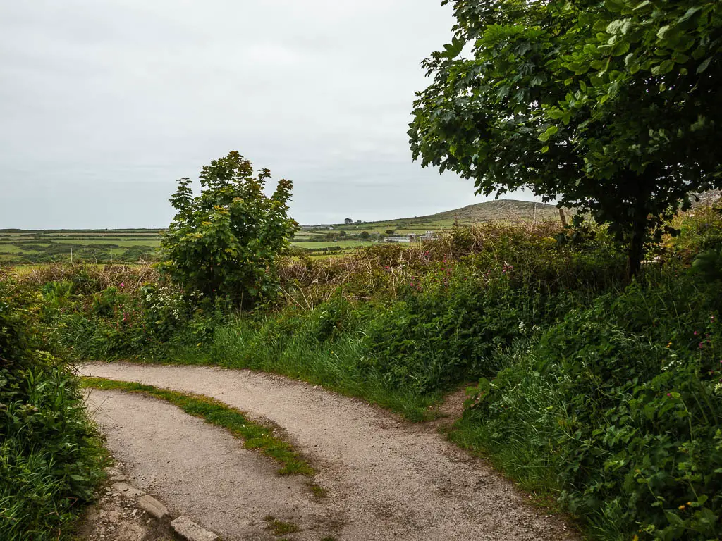 The road as it curves to the left, with a small trail leading off it through the bushes to the right.