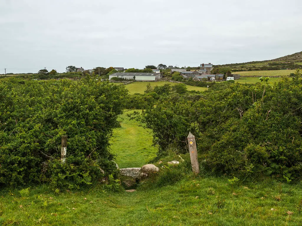 A hole in the hedge, leading to a field. There is a wooden trail signpost with a yellow arrow pointing ahead, next to the hole.