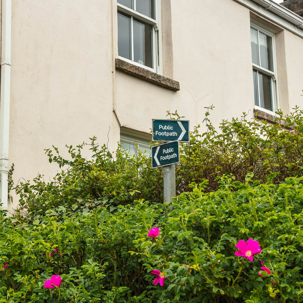 A green public footpath sign sticking out of the bush with a few pink flowers. There is a hose behind the bushes.