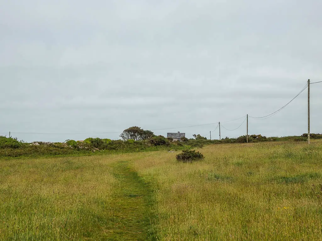 A large field with tall grass, and shorter grass marking the trail running down the middle. There is a rooftop visible past the bushes on the other side of the field.