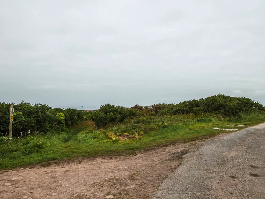 A road junction, with some green and a trail on the other side. 