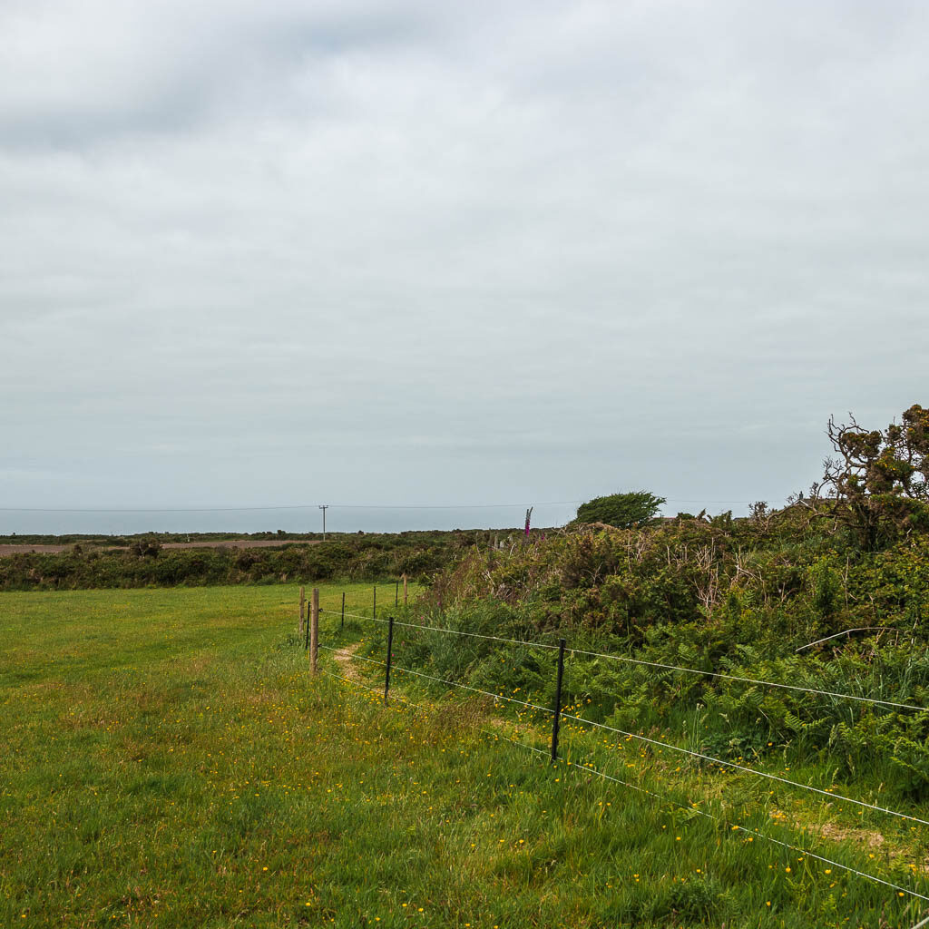 A large grass field with bushes and a wire fence on the right.