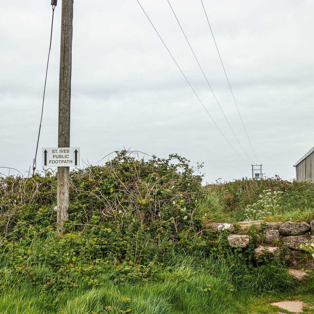 A public footpath sign pointing ahead for the St Ives Footpath, on a wooden pole, on the walk back from Zennor. The pole is in front of a hedge with some rock steps to the right.