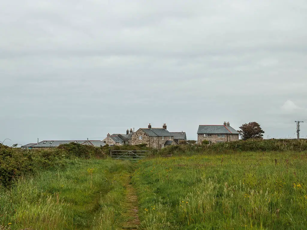 A narrow trail through the tall grass, leading to a cluster of houses ahead near the end of the walk to St Ives from Zennor.