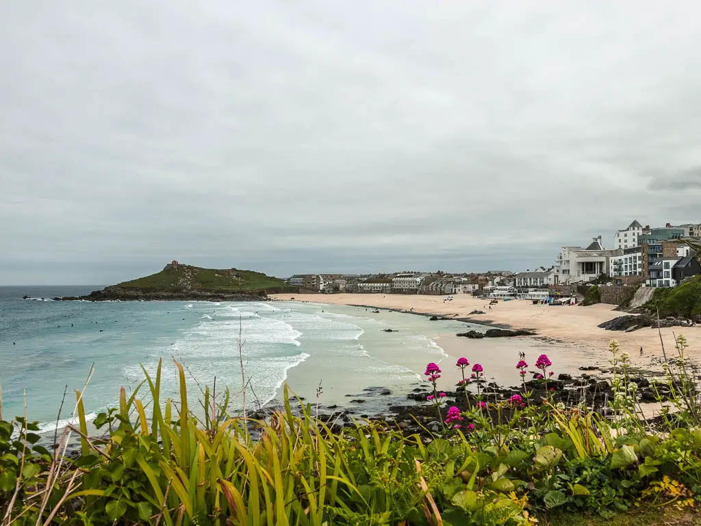 Looking across the tall grass and pink flowers to a sandy beach cove and a peninsular on the other side, along the St Ives to Zennor walk. The sea is place blue and turquoise where is meets the beach. 