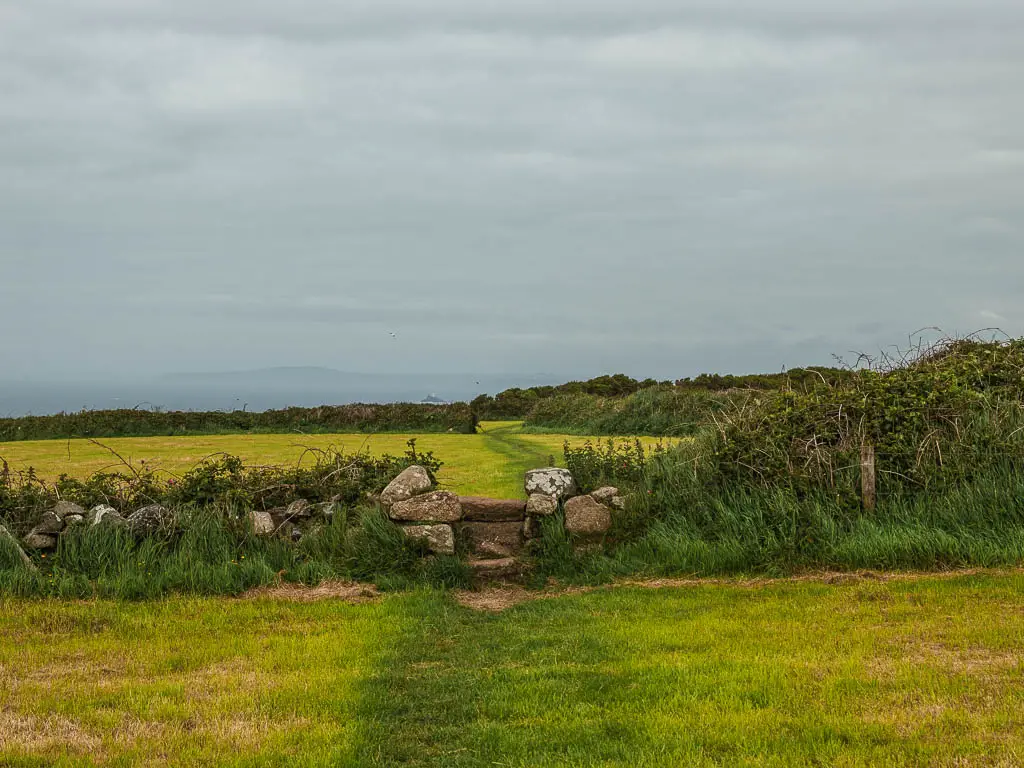 Two fields separated by rocks and tall grass, with stone steps between the, The grass is yellow, with a green grass trail through the middle.