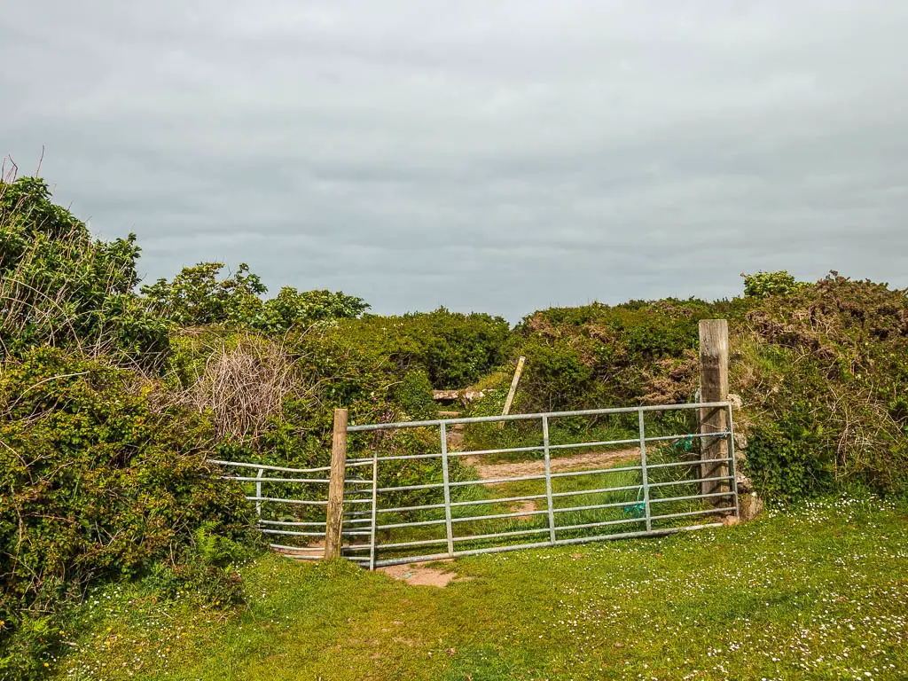 A metal gate on the edge of the field, and in between the hedges. 