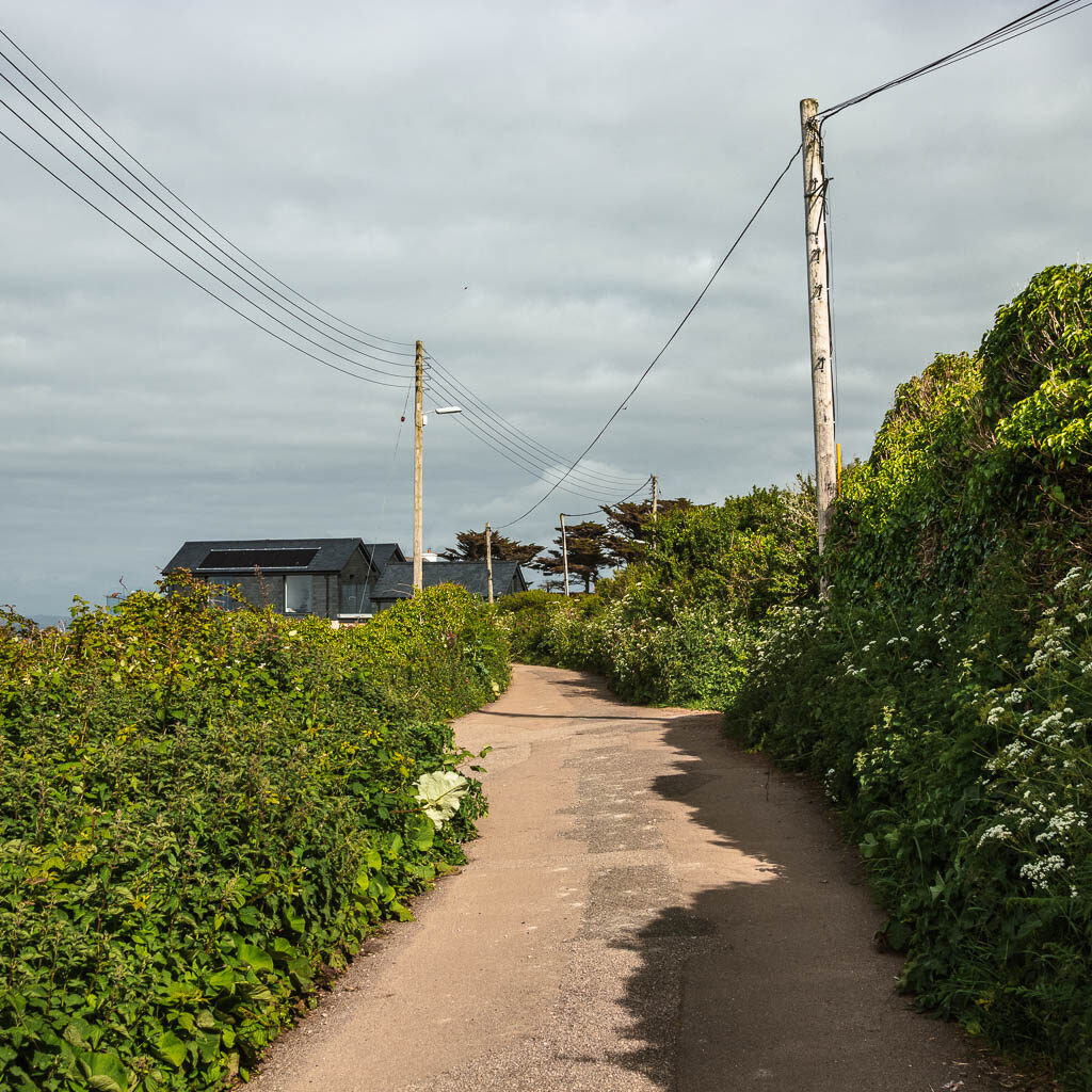 A country road lined with hedges.