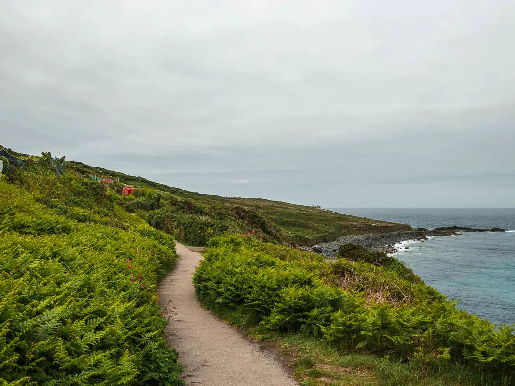 A path snaking through the greenery, with the sea to the right.