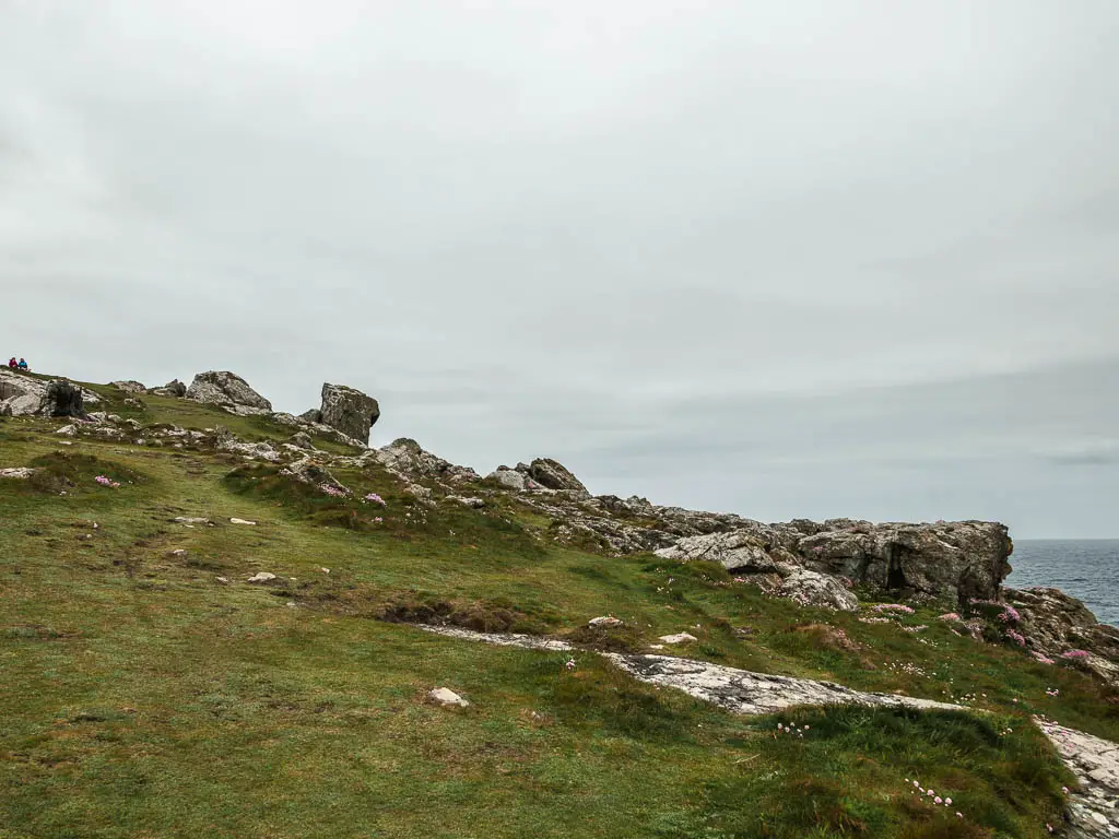 A large uneven green, with lots of rocks ahead. 