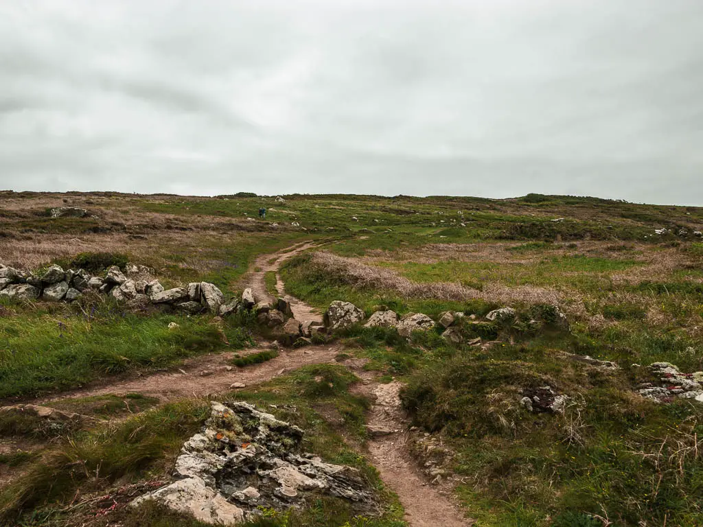 A dirt trail leading up the grass hill, with lots of rocks dotted about. 