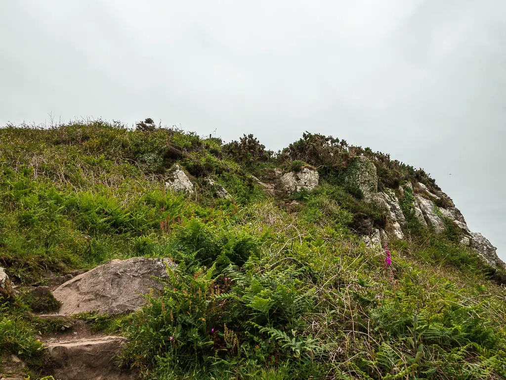 Rocks surround by grass on an uphill.