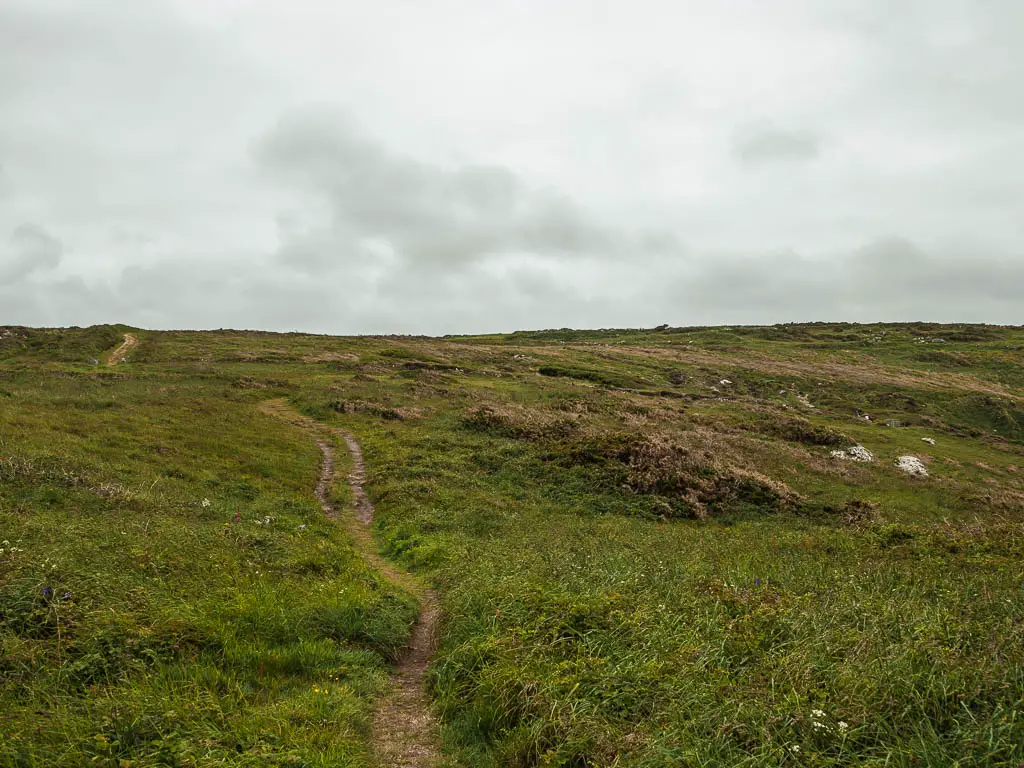 A small dirt trail running through the grass. 