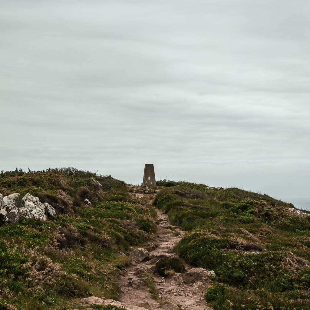 A narrow rocky trail through the rough grass, leading up to a way mark.