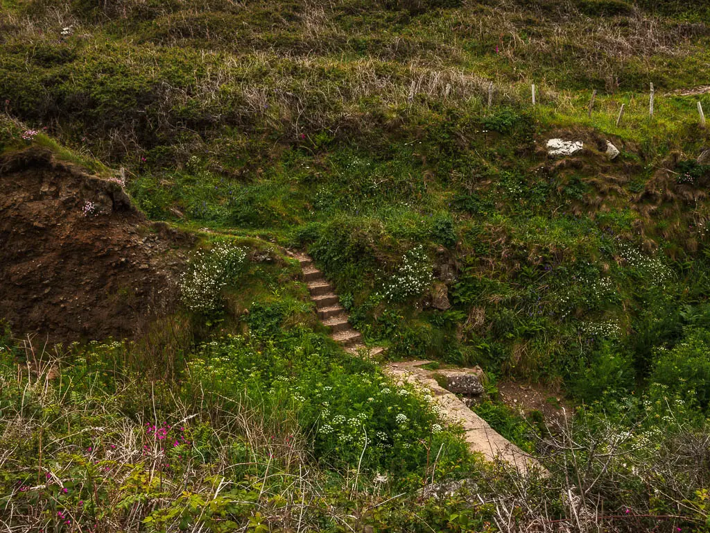 Looking down to the valley with some stone steps leading up the other side. The steps are surrounded by greenery and white flowers.