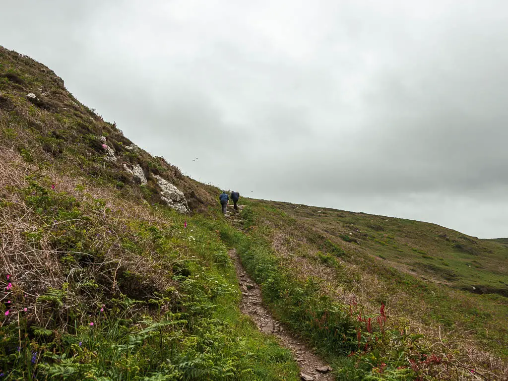 A narrow trail leading uphill through the unkept grass and greenery. There are a couple of people walking up the trail.