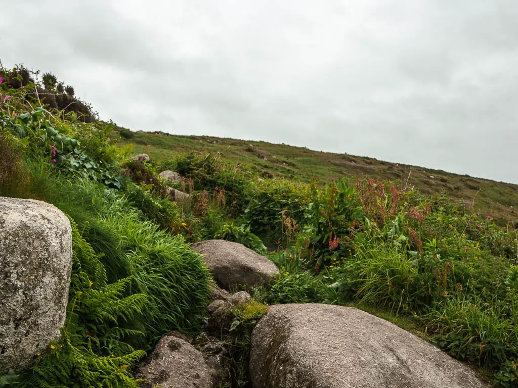 Large boulders on the trail, soured by various forms of grass and greenery near the end of the coast path section of the St Ives to Zennor walk.