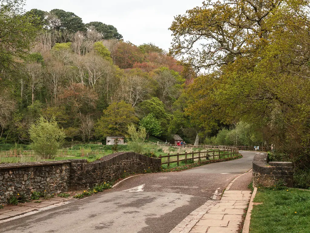 A road with a stone wall and wooden fence on the left, and a green grass field on the other side. There are lots of trees ahead.