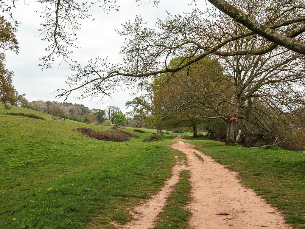 A dirt trail running across the grass field. There are a few trees ahead and to the left.