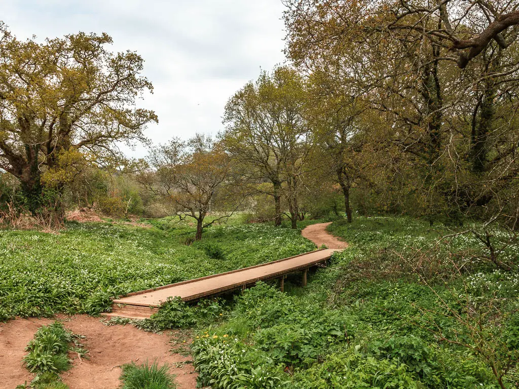 A wooden plank type bridge walkway surrounded by grass and bushes, leading onto a trail.