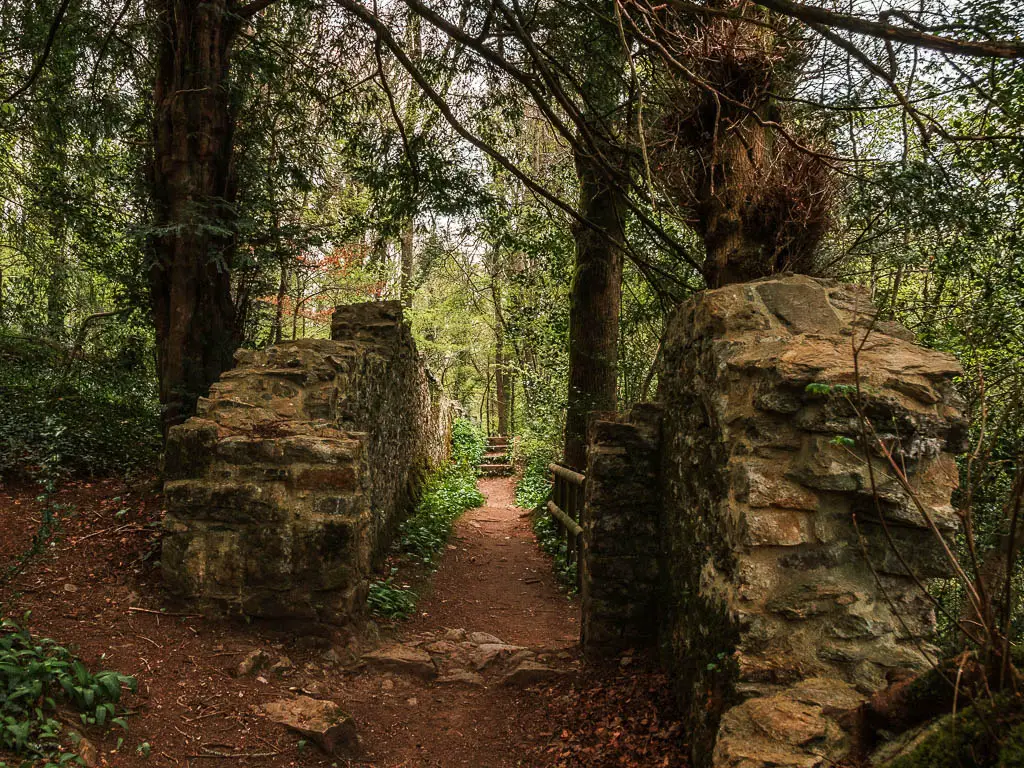 A trail running between two crumbling stone walls on the Totnes to Dartington circular river walk.