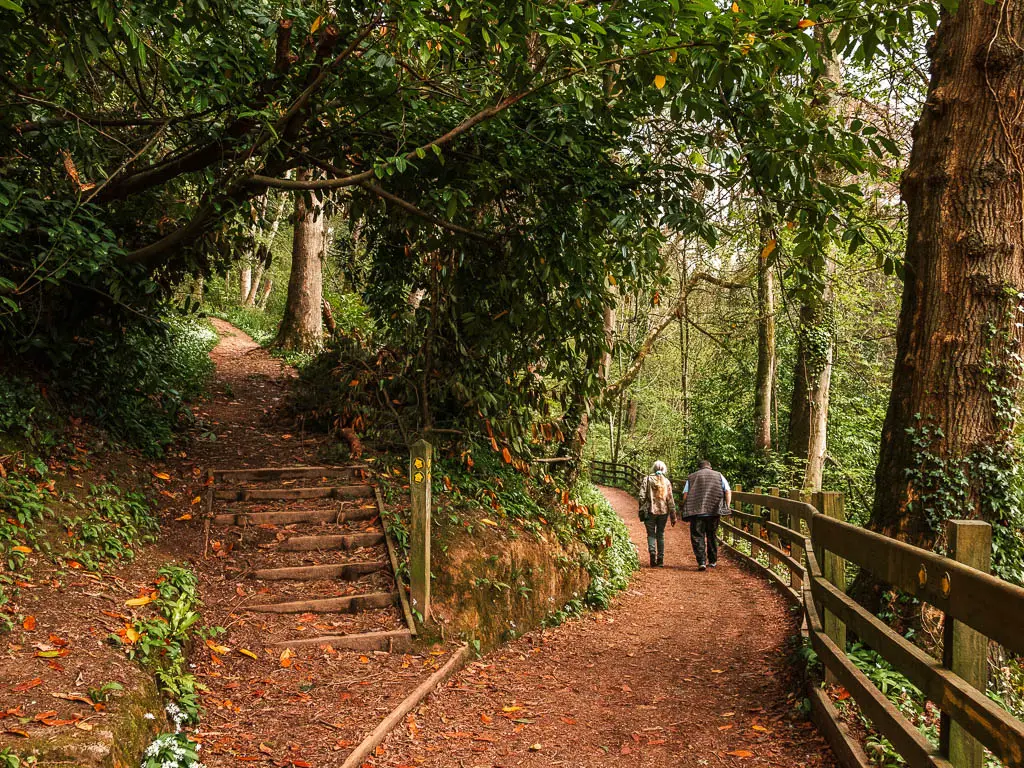 A wide path running straight, and an offshoot trail with steps to the left on the circular Totnes to Dartington walk. There is a couple walking ahead on the path.