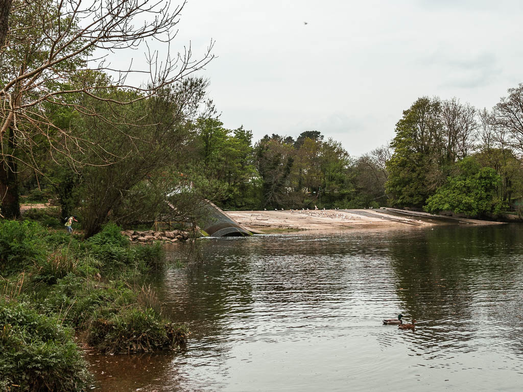 Looking across the river to a a water energy generator.