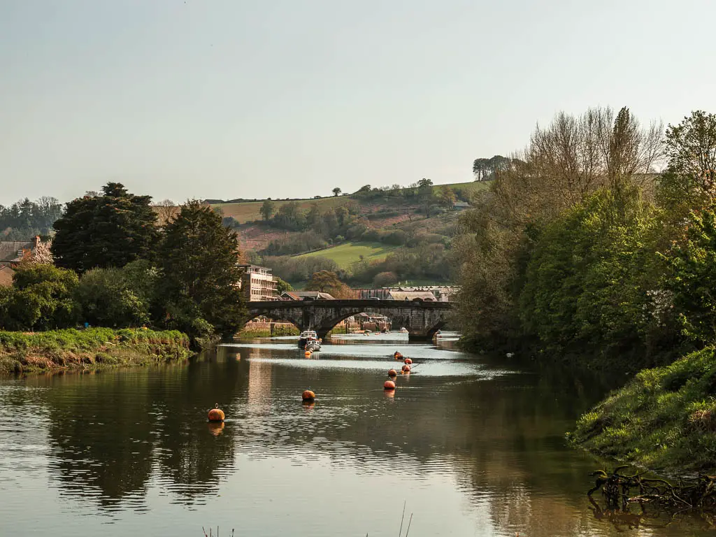 totnes river trips