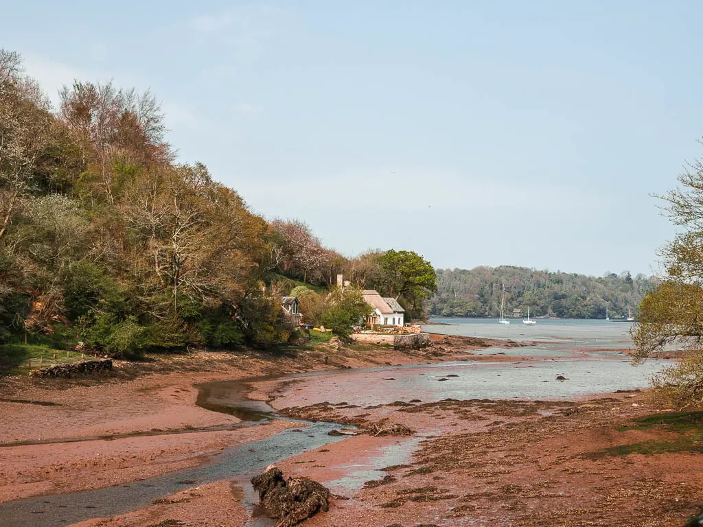 The muddy river bank at low tide, with a small cottage nestled within the trees on the other side.