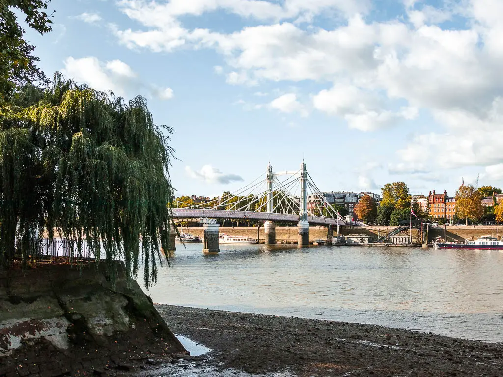 Looking across the river at low tide, towards Albert Bridge.