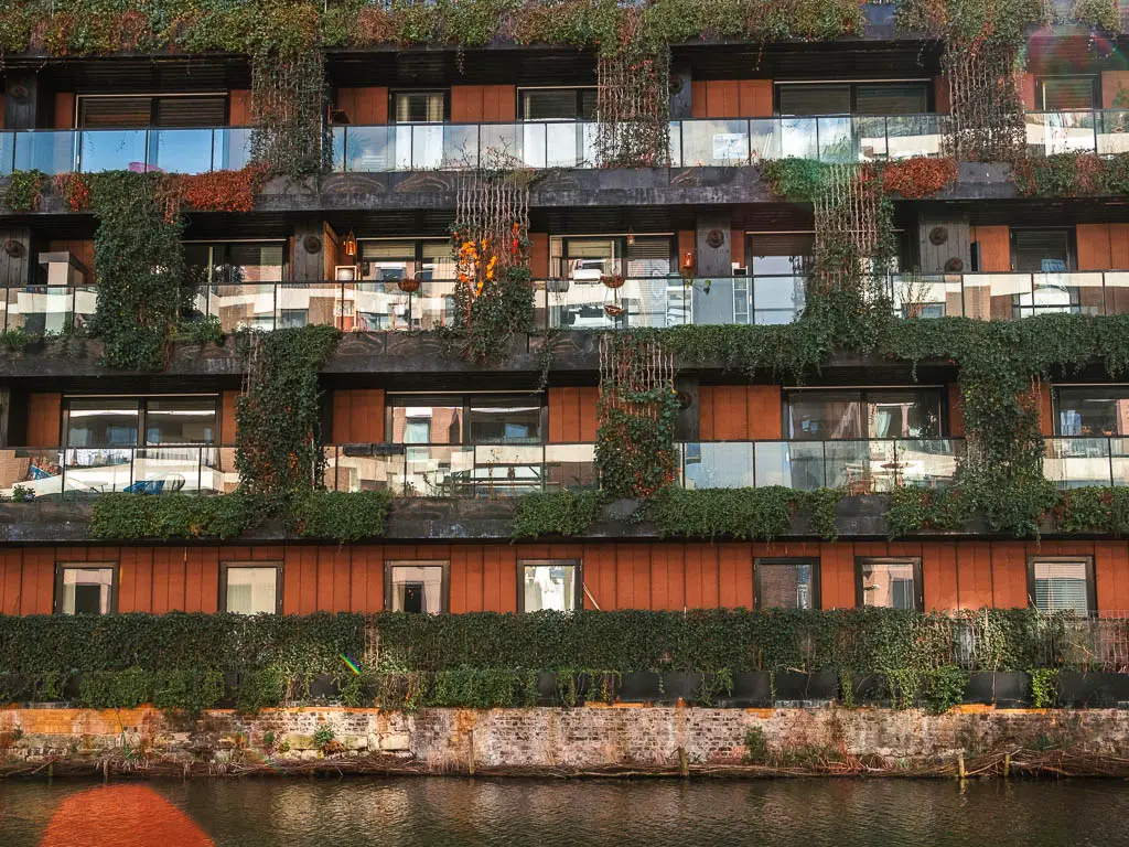 An old apartment block with balconies and ivy and leaves hanging on the façade.