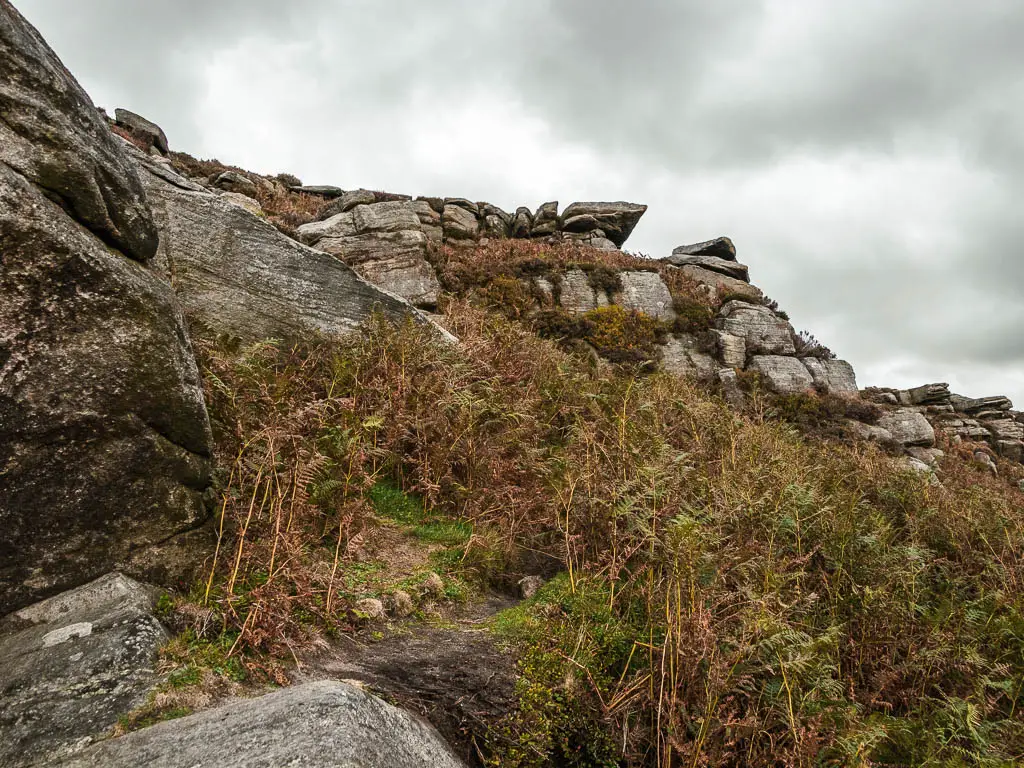 Looking up to big rocks, with fern all along the bottom.