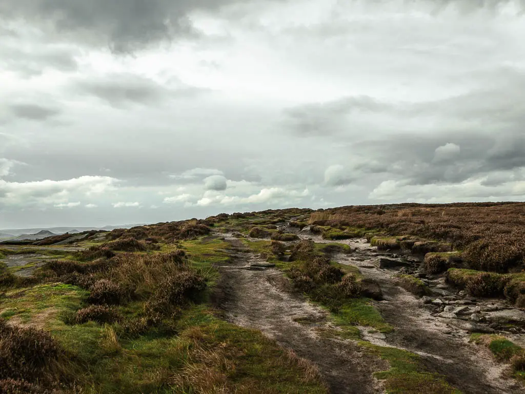 The ground with a rugged dirt path, with patches of grass and heather.