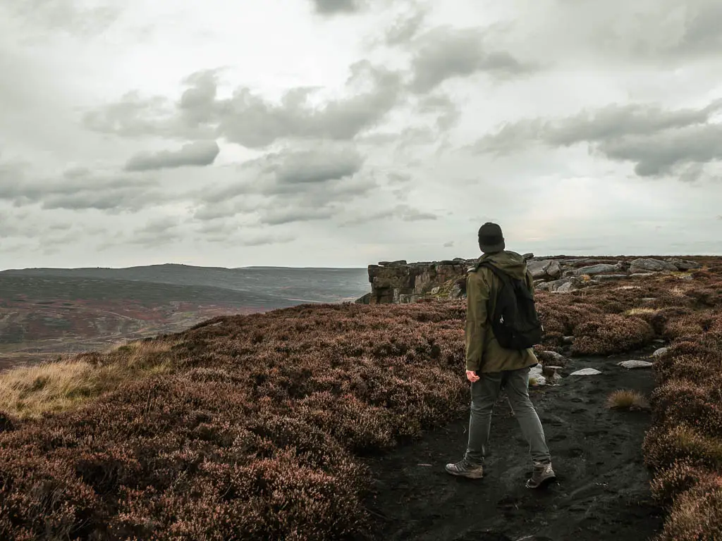 A man standing on a black dirt path lined with heather.