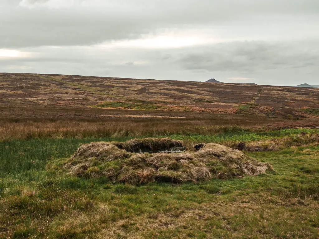 A partially hidden bunker, camouflaged with grass.