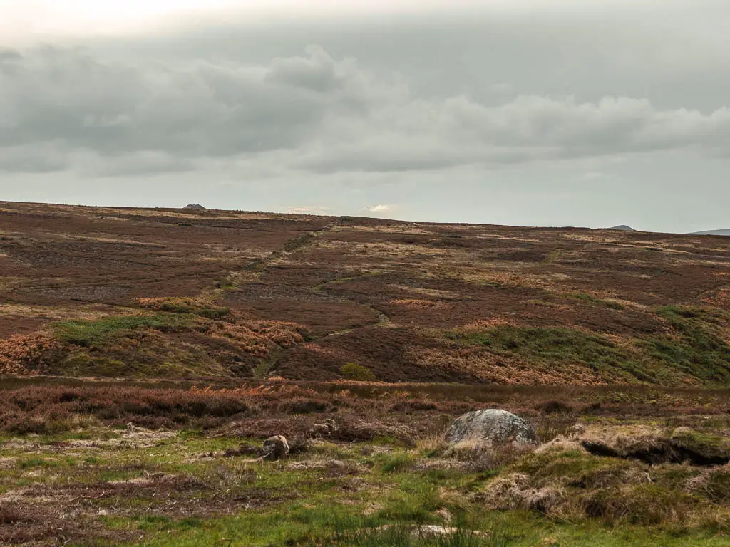 Looking towards a hill ahead with a win ding trail going up it.