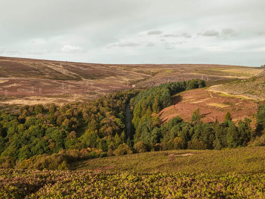 Looking down the hill to a road visible through the mass of trees on the walk to Bamford Edge.