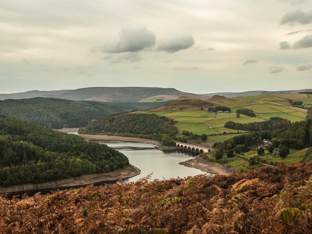 Looking down the hill, over the fern to the Ladybower Reservoir on the Bamford Edge circular walk. The reservoir is surround by hills with trees and patchwork green fields.