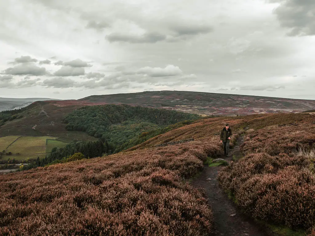 A man walking along a black dirt trail, surround by heather, on the circular Bamford Edge walk.