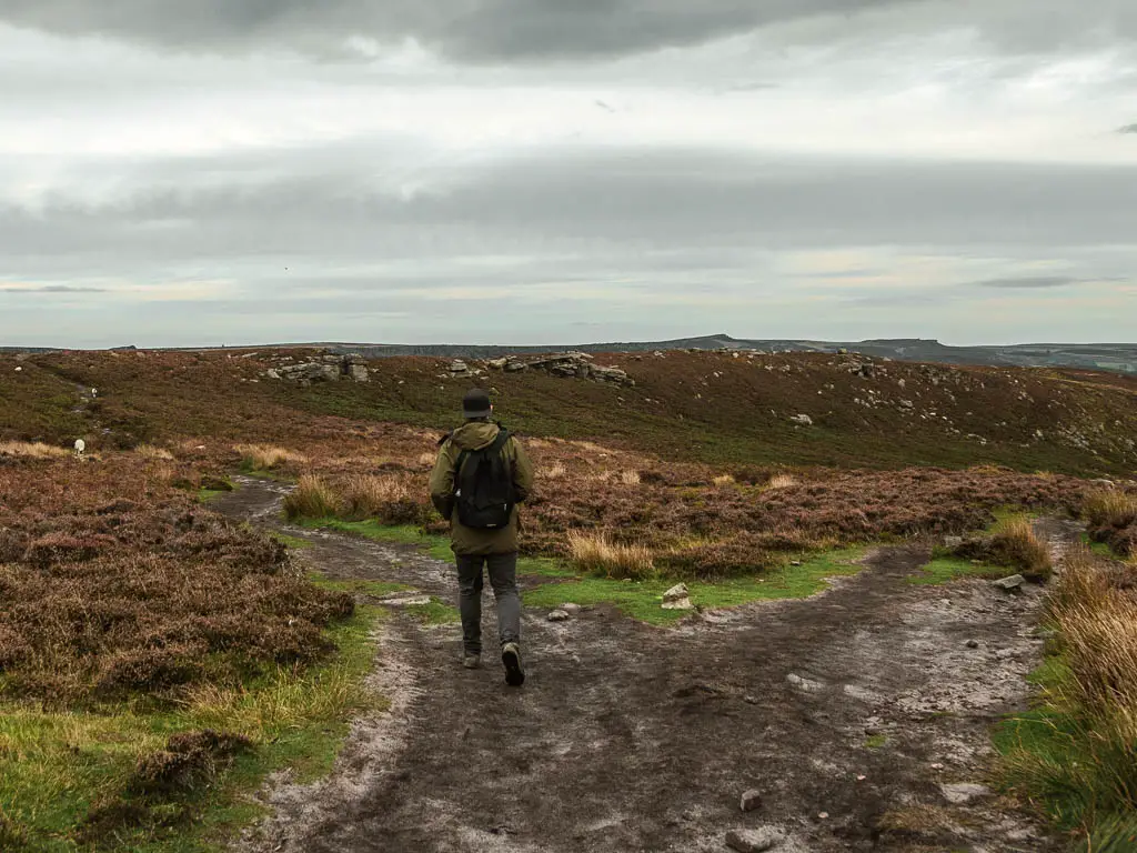 A dirt trail split, with a man walking on the left trail.