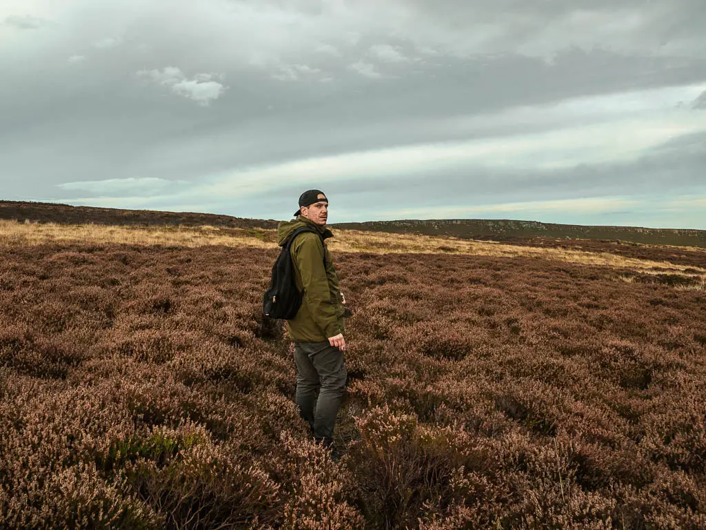 A man standing surround by heather, on the walk away from Bamford Edge.