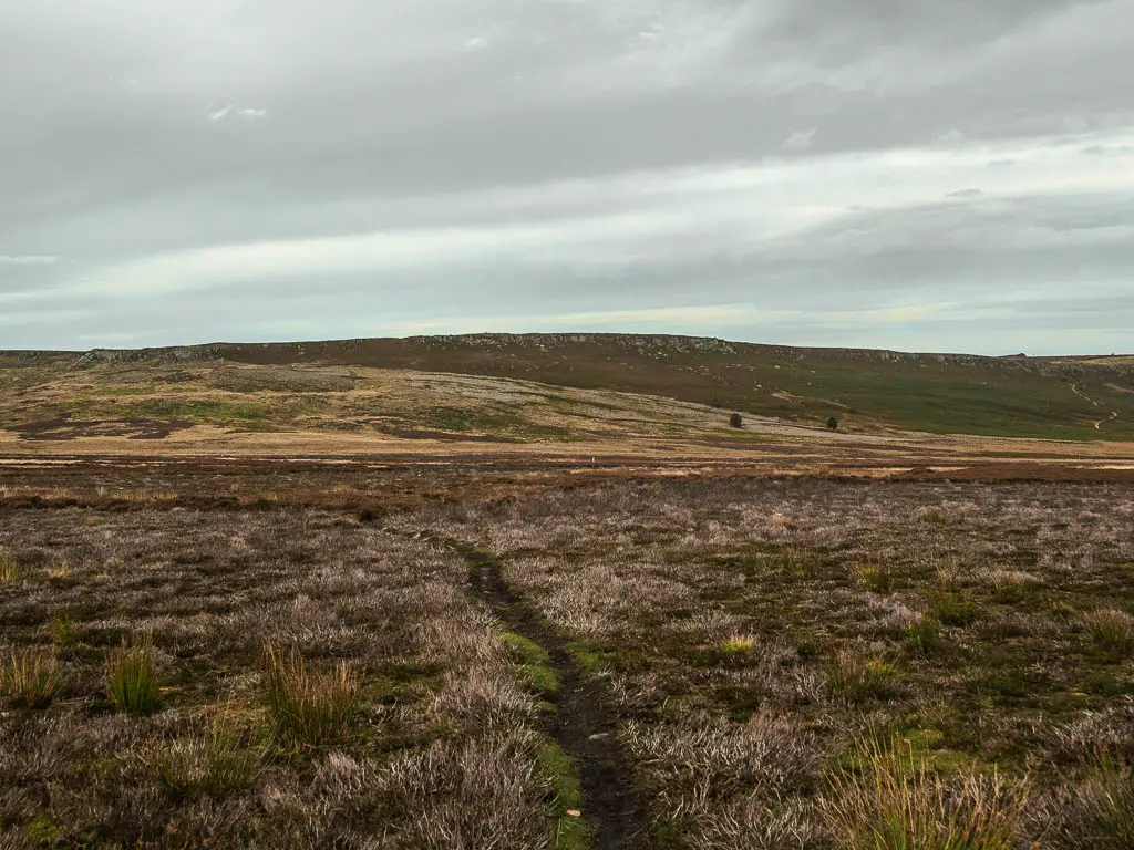 A narrow dirt trail leading across the large boggy moorland.