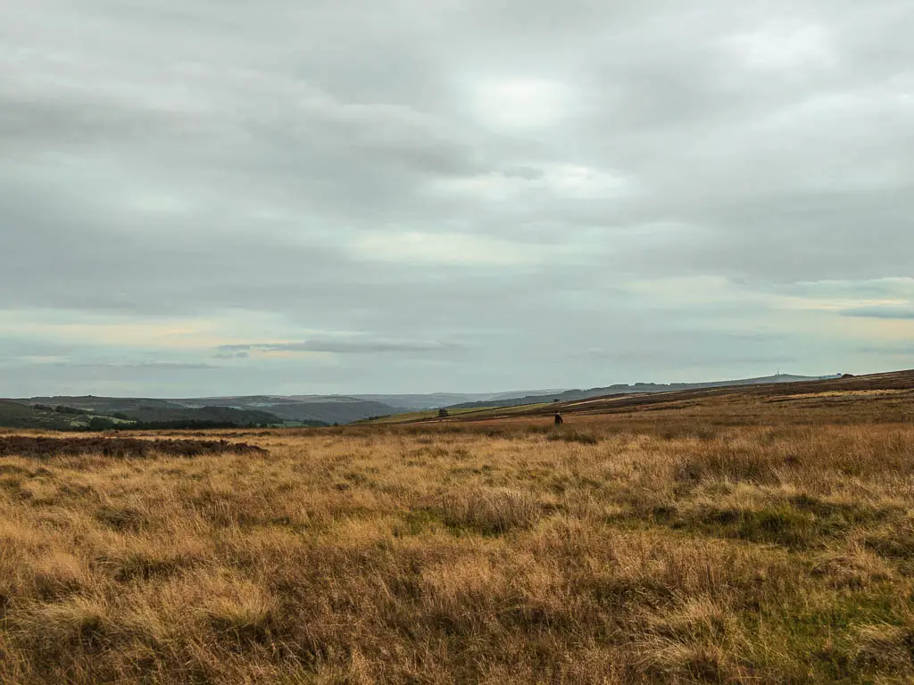Looking across the moor, with a man walking in the distance.