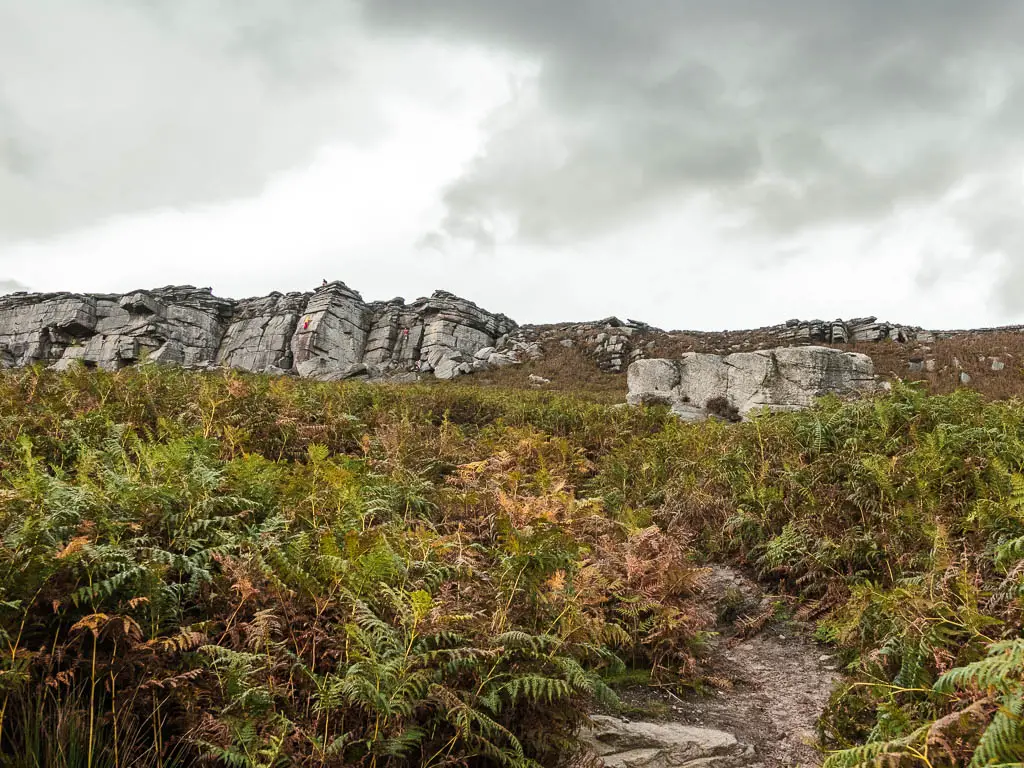 Looking up a small dirt path surrounded by heather, to Stanage Edge at the top of the hill.