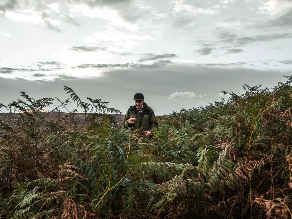A man partially hidden by a mass of tall fern, near the end of the Bamford Edge circular walk.