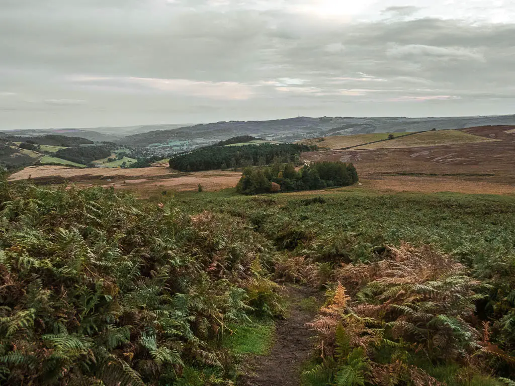 A dirt trail surround by fern. with the rolling hills and a couple of woodland areas in the distance.