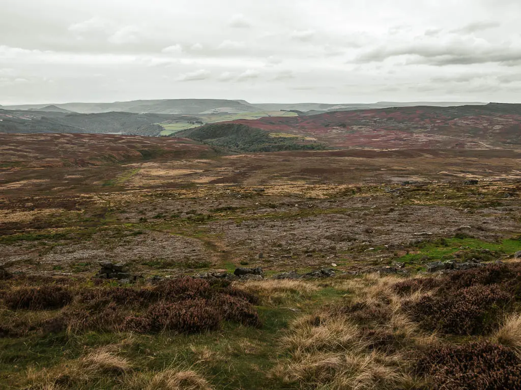 Looking across the large open moorland on the circular walk to Bamford Edge.