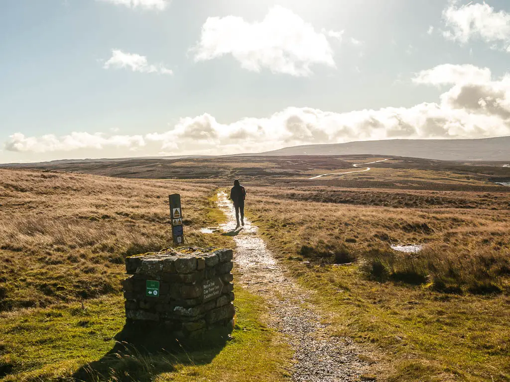 A man walking along a gravel trail surround by marsh land.