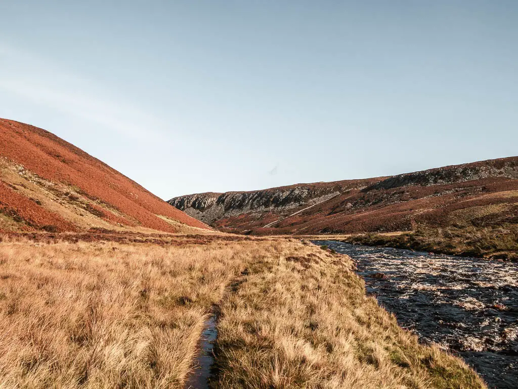 A thin trail through the overgrown grass, with the fast flowing river on the right, and hills ahead on the other side of the river, and to the left, on the walk from Cauldron Snout.